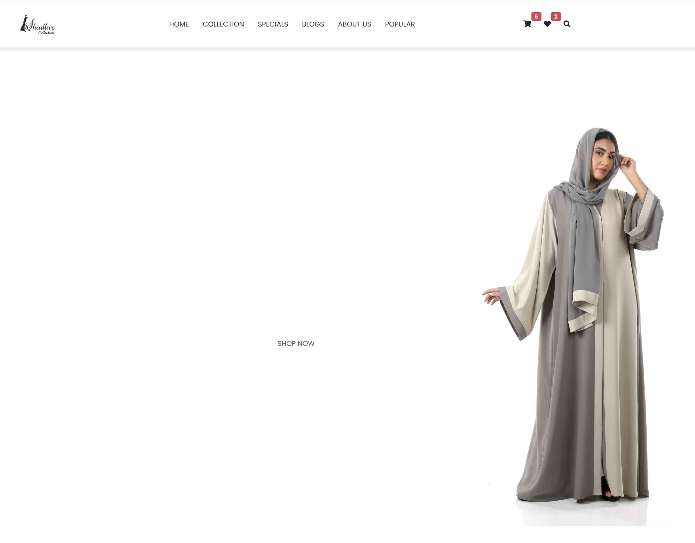 E-commerce Website Design